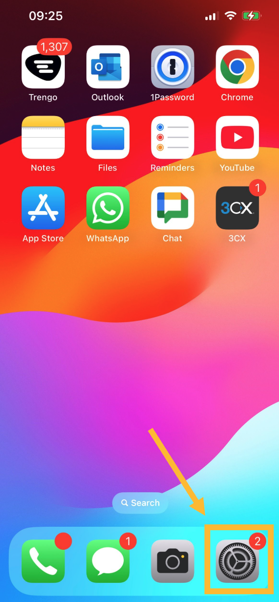 iPhone Settings menu