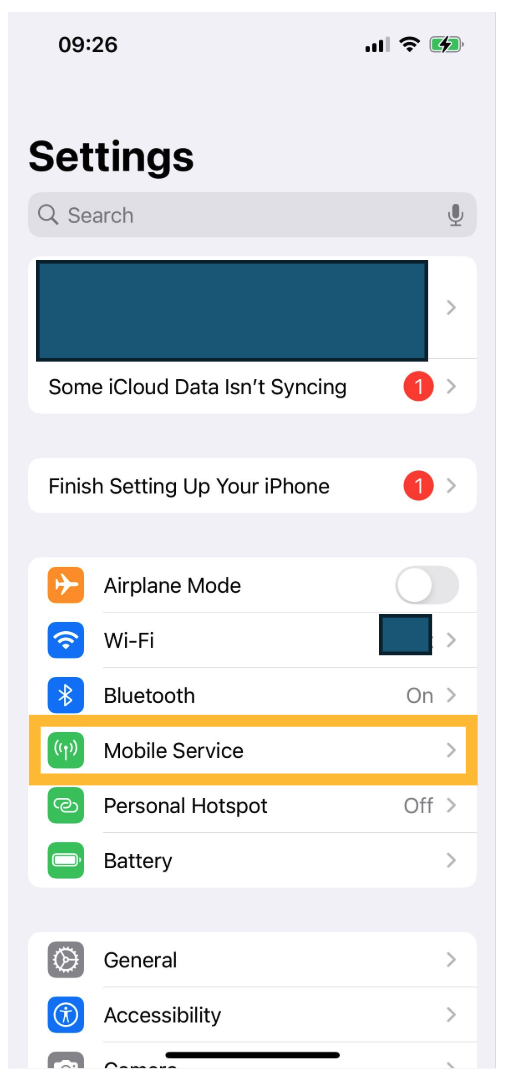 Mobile Service option in iPhone Settings