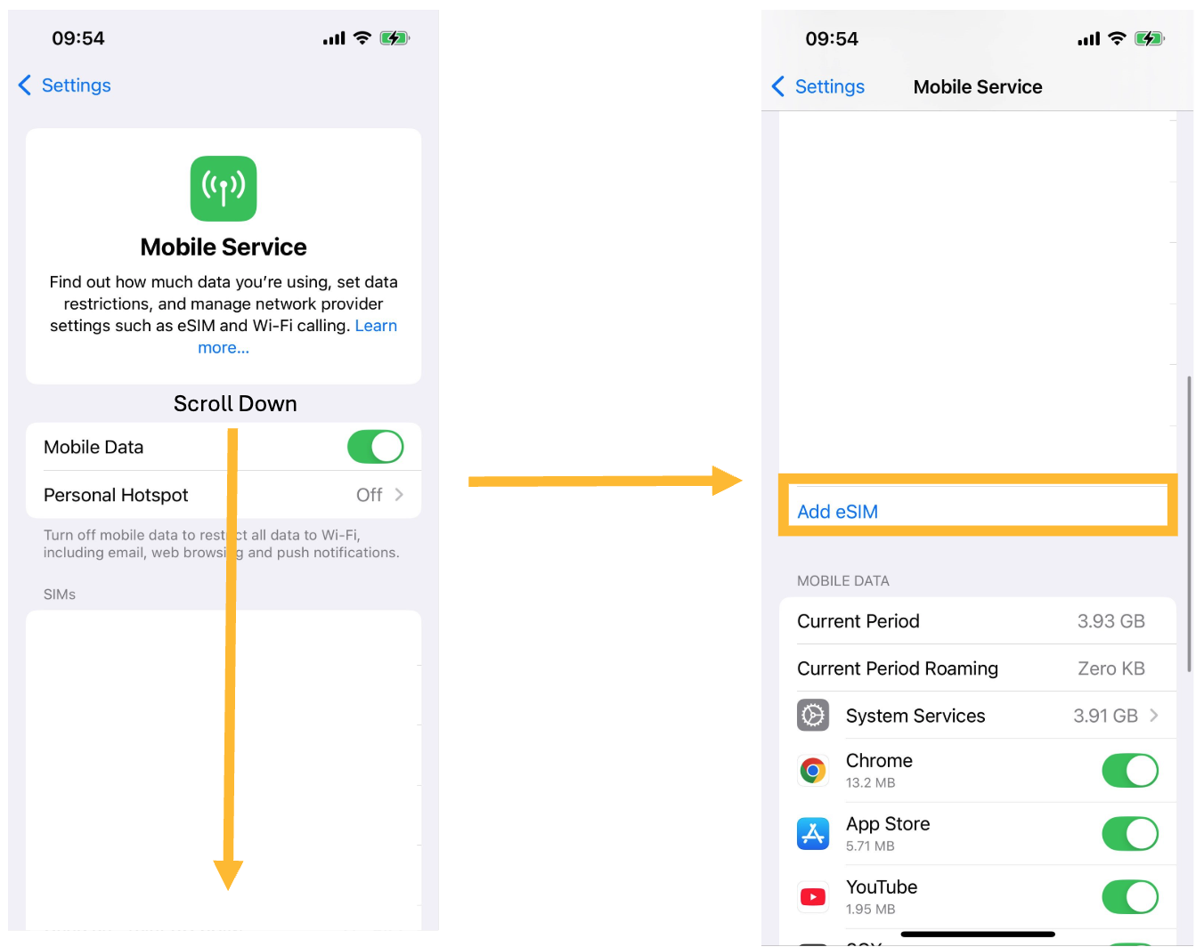 Add eSIM option in Mobile Service menu