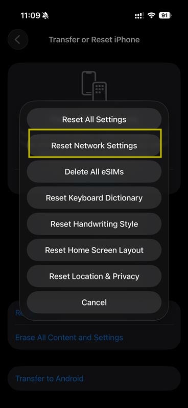 Reset Network Settings option selected
